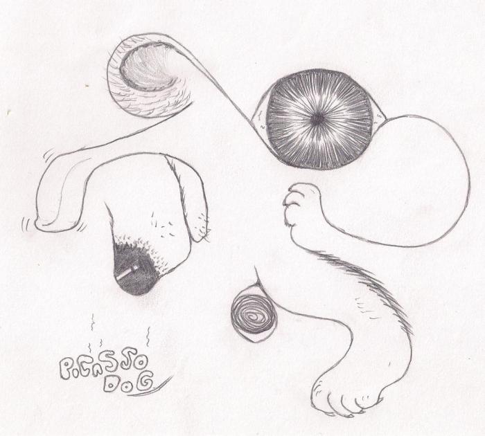 dr#9 picasso dog