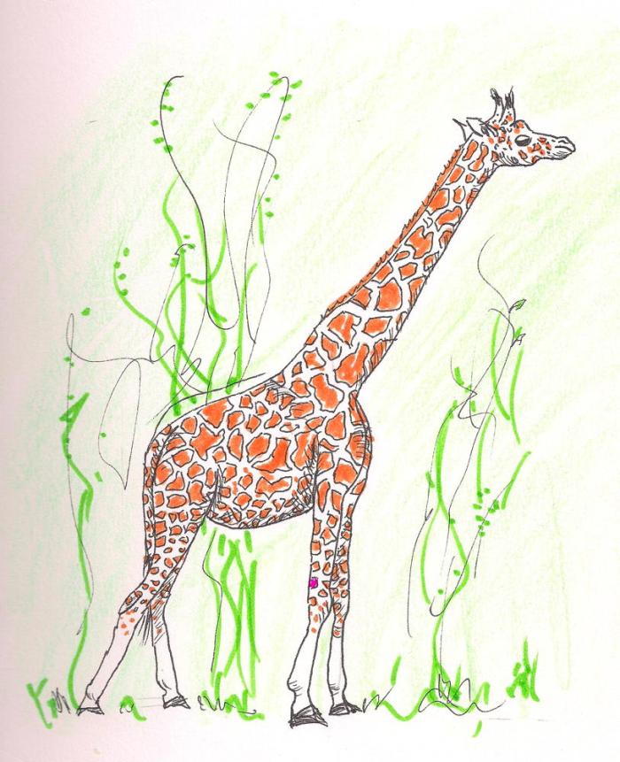 giraffe #2
