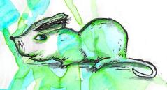 crowering mouse 23-9-13