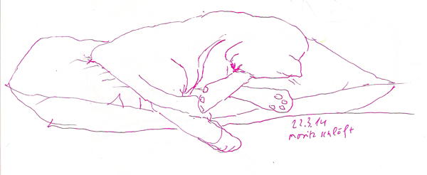 2014-03-23 Moritz schläft