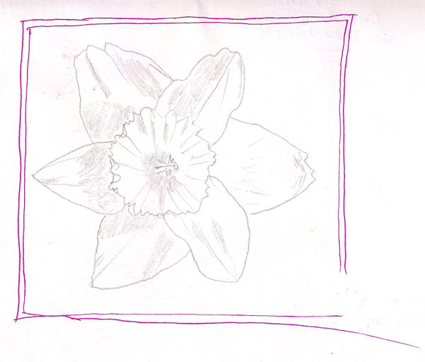 2014-03-29 daffodil-osterglocke