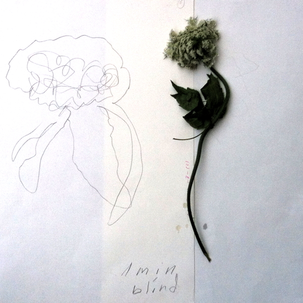 blind 1 min IMG_2157