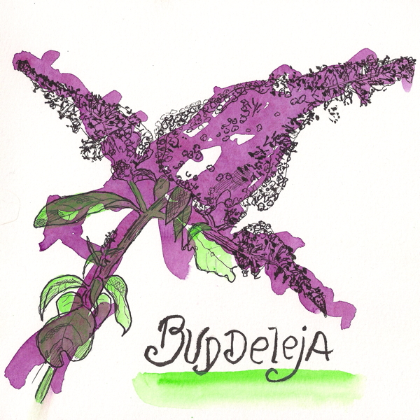 2014-07-07 fast&slow#1