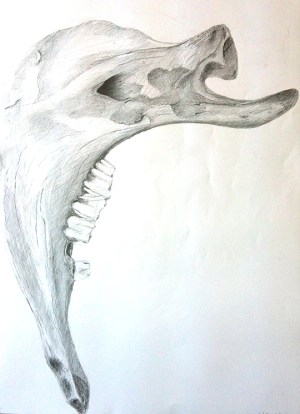 2014-08-05 IMG_2341 75dpi klein