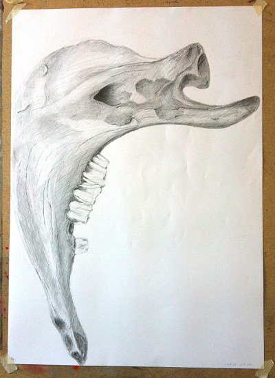 2014-08-05 IMG_2341 75dpi