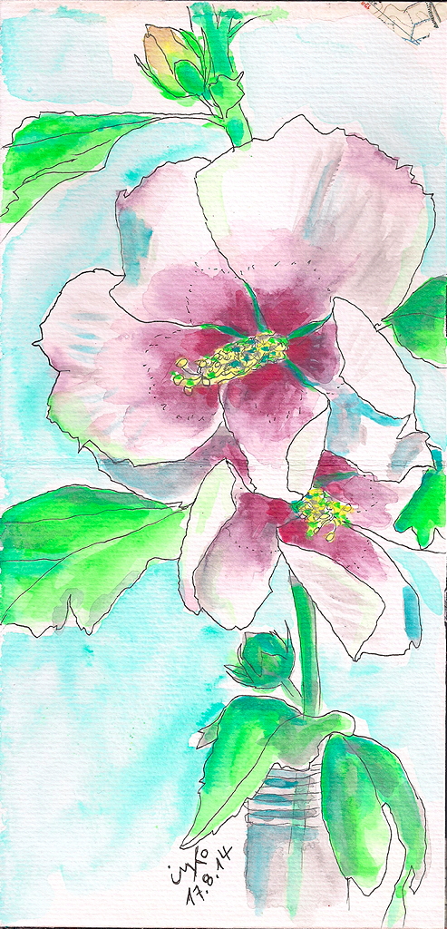 2014-08-18 mallow out of neighbors garden 75dpi