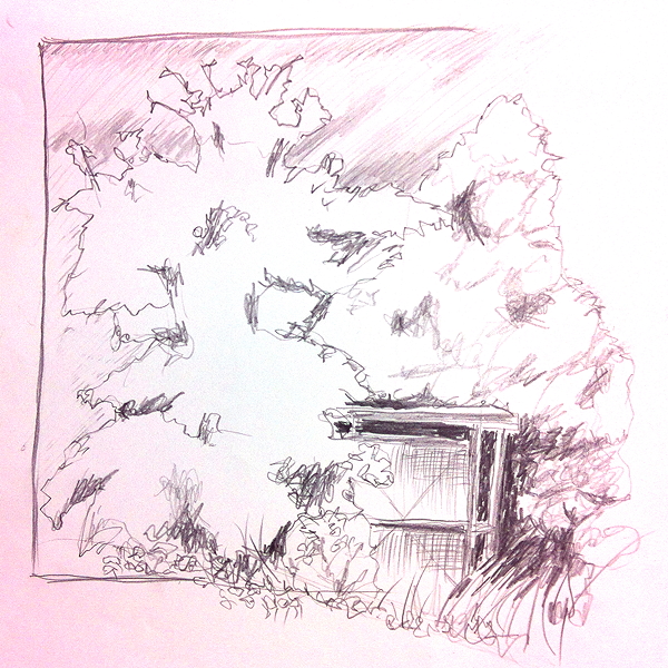 20140806_drawing_in_nature_nr2_img_2534 75dpi