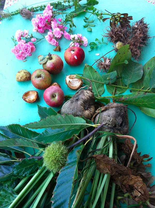 20140917_painting_tools_img_2771 75dpi