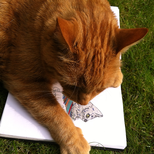 20140930 IMG_2878 75dpi