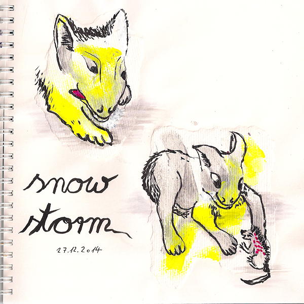 20141227 snow storm 75dpi