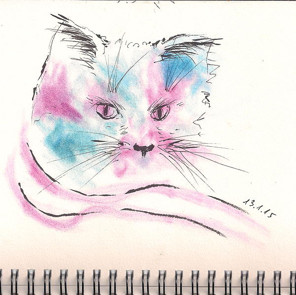 20150113 katze 75dpi