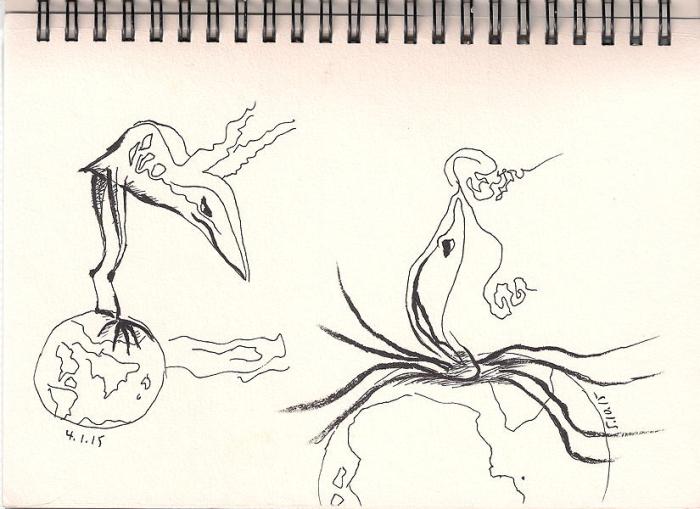 20150204+5 cosmos 75dpi