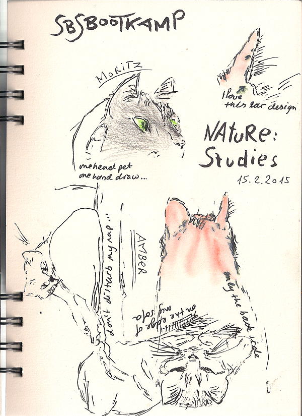 20150215 nature studies - my cats 75dpi