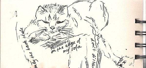 20150215 nature studies - my cats upside down 75dpi