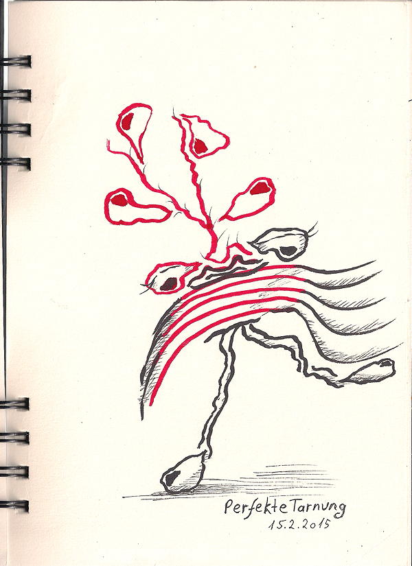 20150215 perfecte tarnung 75dpi