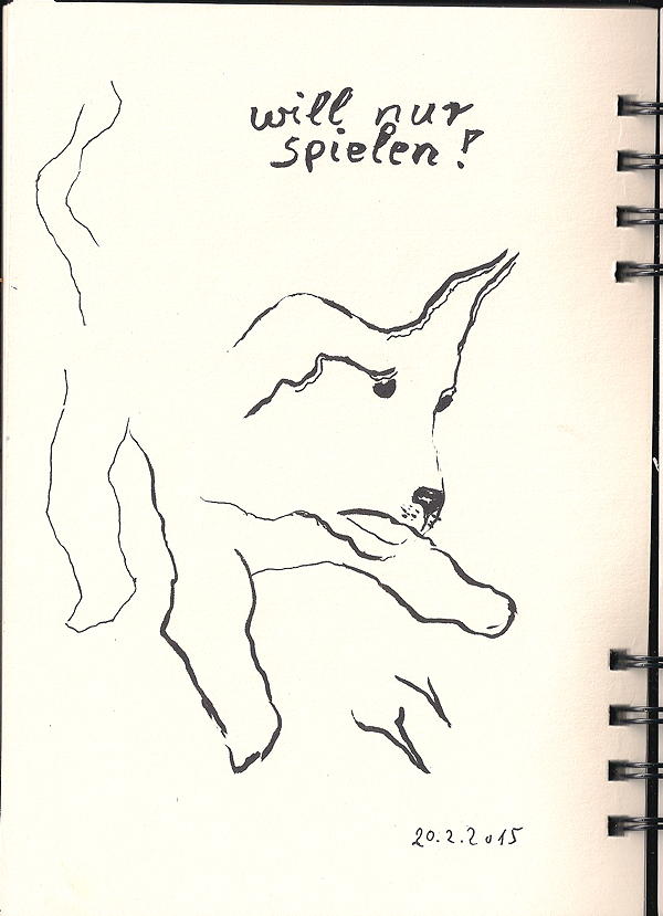 20150220 will nur spielen 75dpi