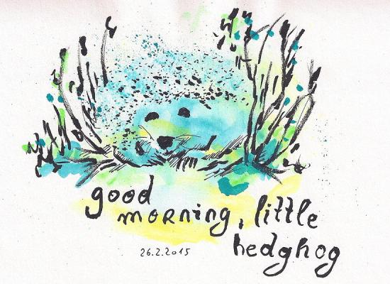 20150226 good morning little hedgehog 75dpi