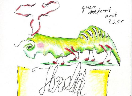 20150308 green redfoot ant 75dpi