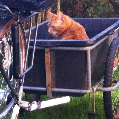 IMG_3421 amber 75dpi