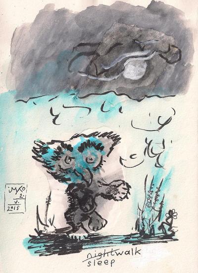 20150502 nightwalk 75dpi