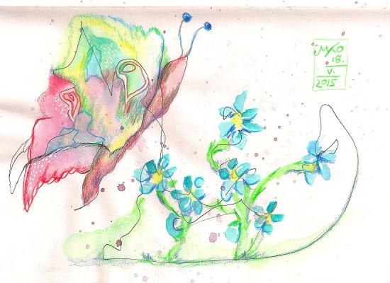 20150518 butterfly 75dpi