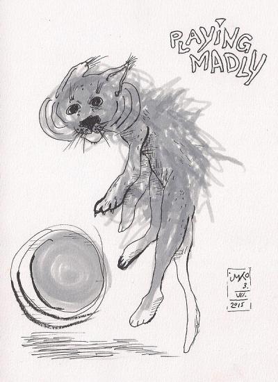 20150703 playing madly 75dpi