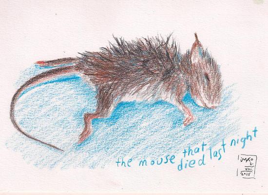 20150802 the mouse 75dpi