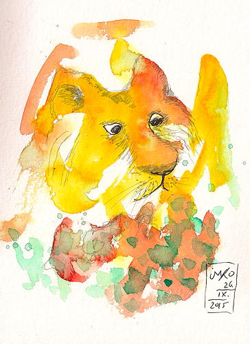 20150926 tiger in the scrub 75dpi