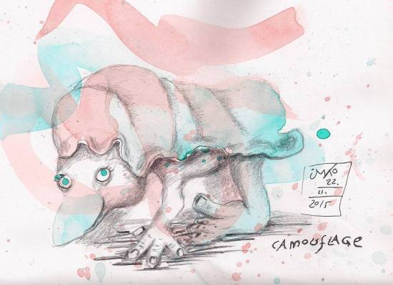 20151101122 camouflage 72%