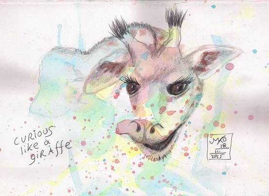 2015110117+18 Curious 72%