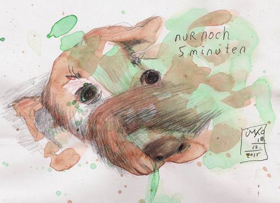 20151101218 5 minutes 72%