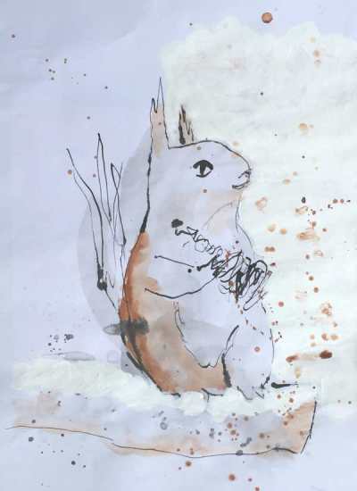 20160529 squirrel IMG_9871 52%